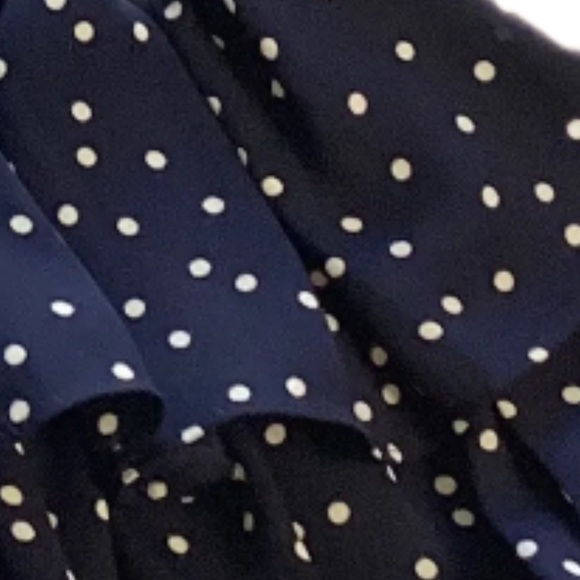 BB Dakota Skirt XS Y2K Navy & White POLKA DOTS Ruffled Sheered Mini - Picture 5 of 14